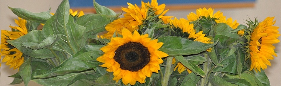 Schulhof