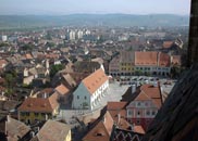 Schlange
